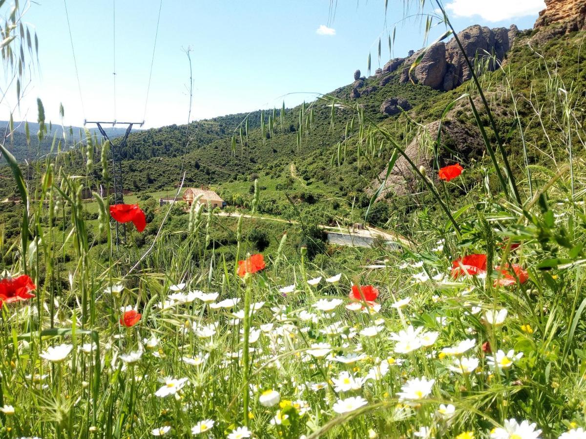 Villa Garibaldi Агуэро Экстерьер фото